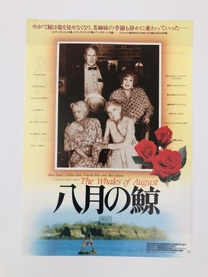 Die Wale Von August 1987 Davis Lindsay Anderson Film Flyer Mini Poster