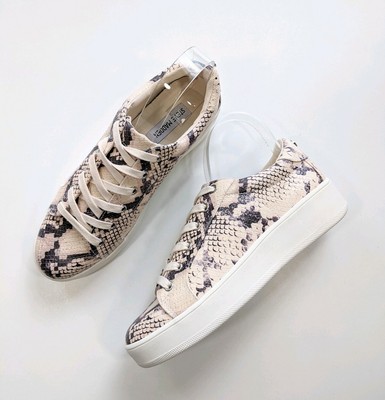 steve madden snake print sneakers