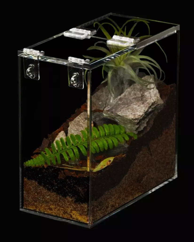 Small Acrylic Enclosure Terrarium Supplies Tarantula Scorpion