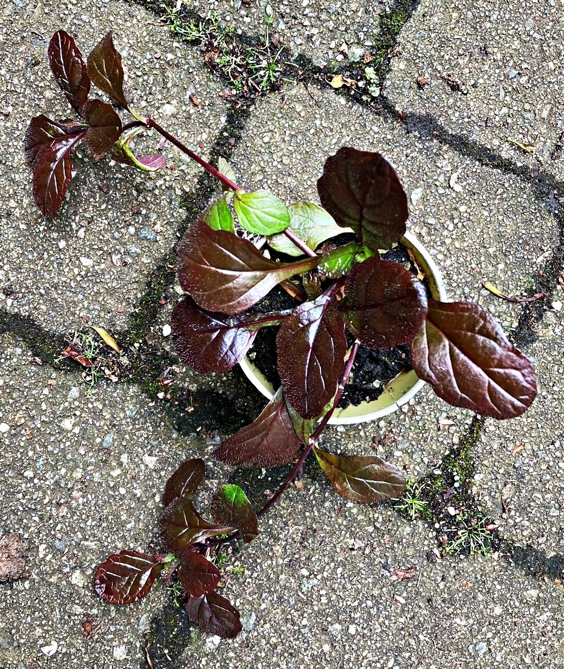 Bild 3 von 5