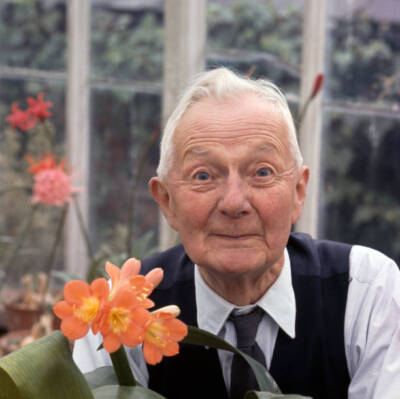 English horticulturalist broadcaster Fred Streeter in a glasshouse - Old Photo 6