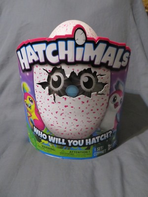 hatchimals pengualas pink