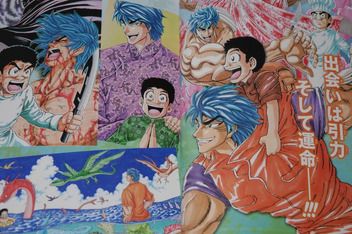 Toriko 29.5 Official Fan Book by Mitsutoshi Shimabukuro