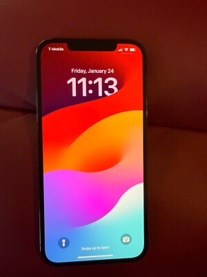Included TikTok app.Apple iPhone 12 Pro Max - 256 GB - Blue (Unlocked)