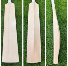 Players Grade English Willow Cricket Bat