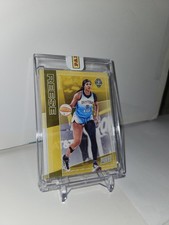 2025 Panini The National Silver Packs Angel Reese #5 Sky