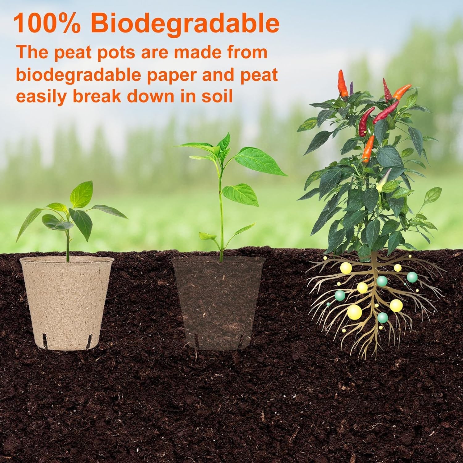 60 Packs 3.15 Inch Peat Pots,Biodegradable Pots for Seedlings with Drainage Hole