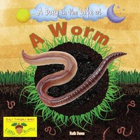 Ruth Owen - A Worm - Paperback - G245Z