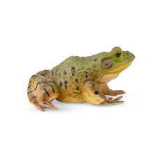Bullfrog-Toymany  African Bullfrog Frog Colle...
