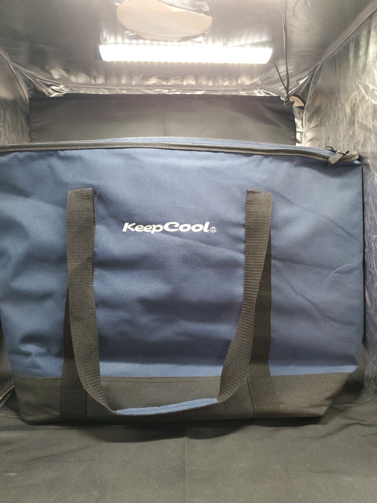 KeepCool XL Insulated Bag , $43.55
