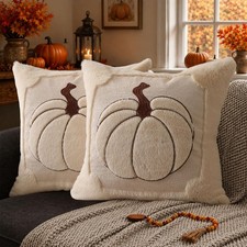 Fall Pillow Covers 18x18 2 Pack Beige Pumpkin Home Decor PT010A18