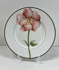 Villeroy & Boch “Flora – Wild Rose” Salad Plate | House & Garden Collection | 