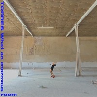Torres - What An Enormous Room - Vinyl Record - G3Z
