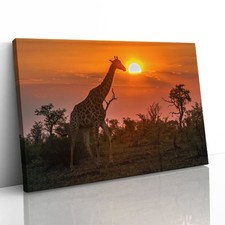 Giraffe in Kruger Park Canvas Framed Print Picture Wall Art