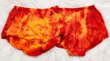 Carole Silky Nylon Full Cut Brief Panty Lot of 2 Rainbow Edge Lace Trim Size 12