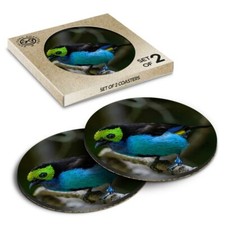 2 x Boxed Round Coasters - Paradise Tanager Tropical Blue Bird  #16041