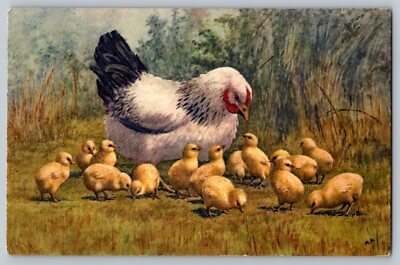 Vintage Post Card Hen and Chicks E329