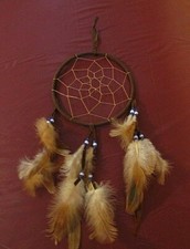 Dreamcatcher with feathers in shades of brown with blue/white beads. NWOT.