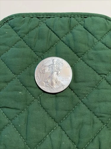 New ListingLot Of 25 2013 Walking Liberty American Eagle 1oz .999 Fine Silver $1 Dollar USA