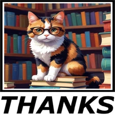 30 Custom Book Smart Calico Kitten Thanks Personalized Address Labels