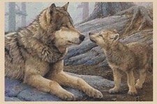 Wolf and Cub Counted Cross Stitch Chart  No. 2-328