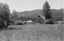 Mohawk Valley Guest Ranch, Clio, California 1950s view OLD PHOTO 6
