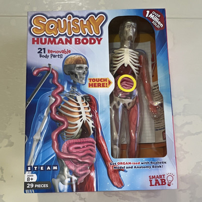 SmartLab Squishy Human Body Anatomy Model, 21 Removable Parts, Lab Use