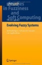 Evolving fuzzy systems - methodologies, advan...