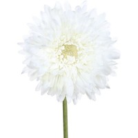 Artplants Deko Blume Gerbera Molza, Weiß, 60Cm
