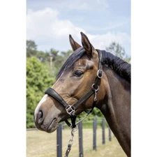 HKM Mira Raised & Padded Leather Halter - Black - Cob Size
