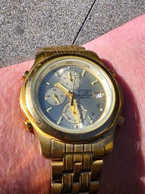 Citizen Alarm Chronograph WR100 Quarz Herren Uhr goldfarben