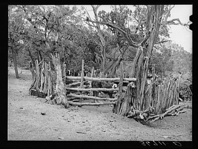 Farm Security Administration,Catron County,Pie Town,New Mexico,NM,1940,FSA,33