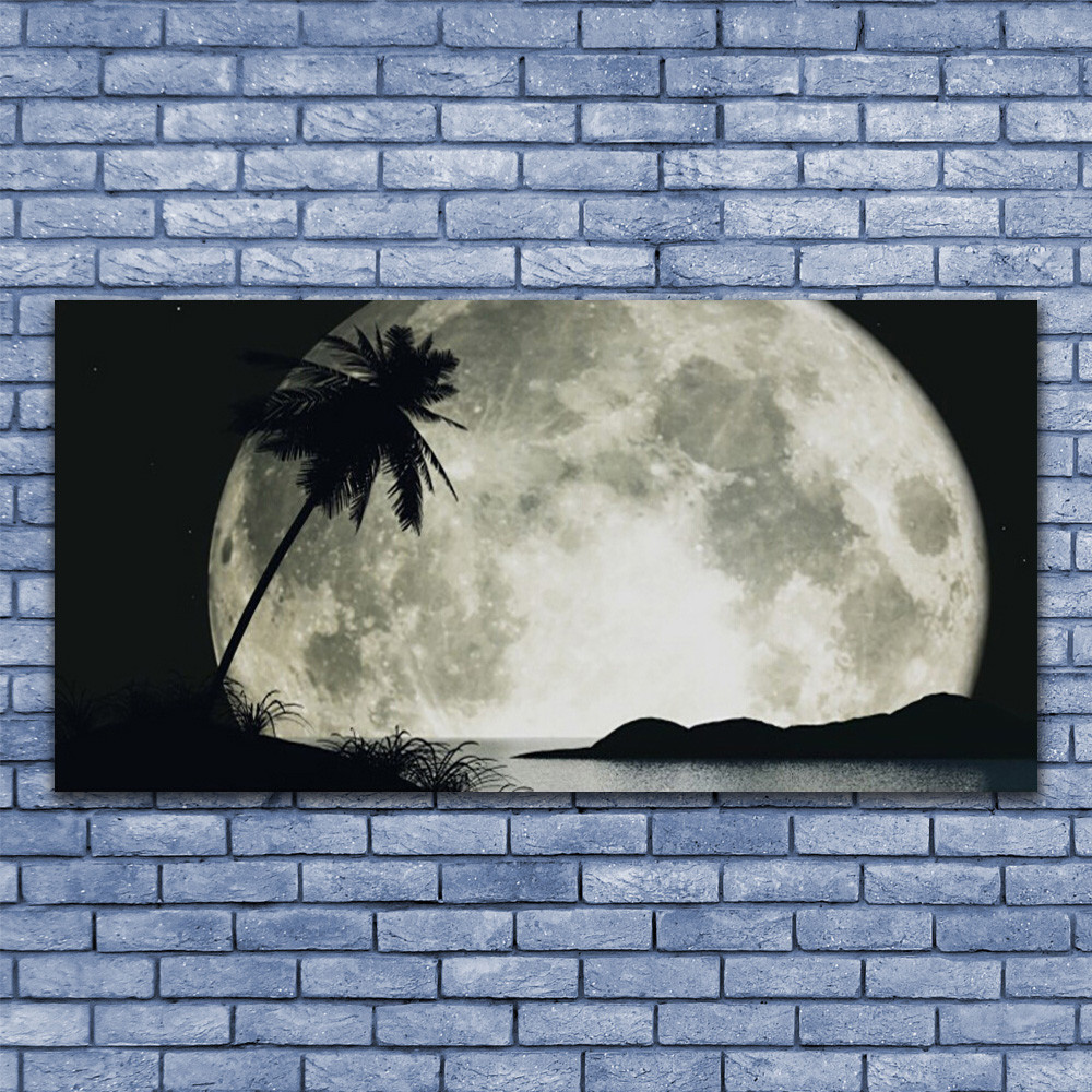 Tableau en verre acrylique 140x70 cm paysage de nuit lune et palmier