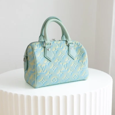 Louis Vuitton Speedy 20