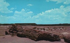 Postcard AZ Petrified Forest National Park Arizona Longlog Vintage PC J9439
