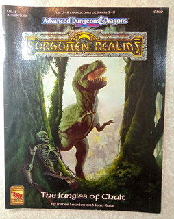 TSR AD&D 2nd Ed Forgotten Realms The Jungles of Chult FRM1 9389 campaign book