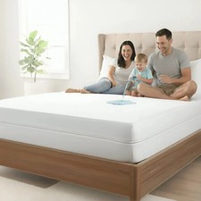 Zippered Mattress Encasement Waterproof Bed Bug Mattress Protector Cover Pad