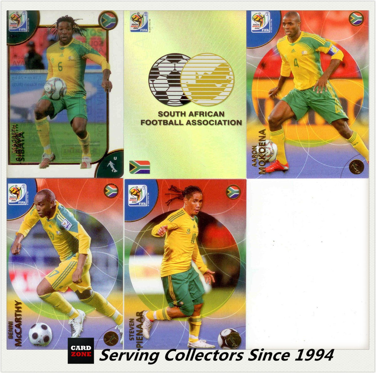 2010 FIFA WORLD CUP PANINI カード　セット 2010 Panini FIFA South Africa World Cup Soccer Cards Team Set