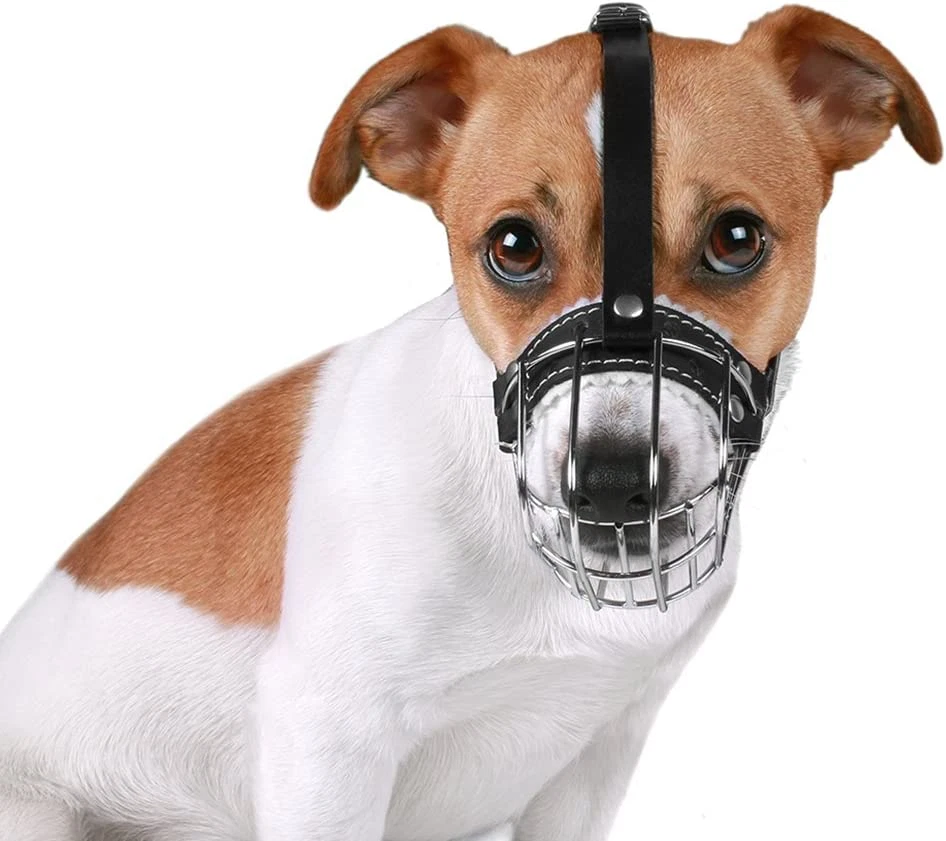 Muzzling clearance a puppy