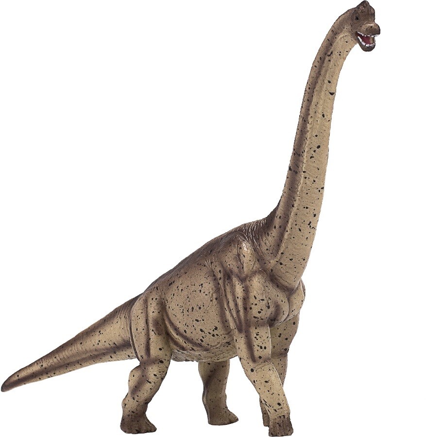 Mojo 387381 Brachiosaurus 29 Cm Dinosaur