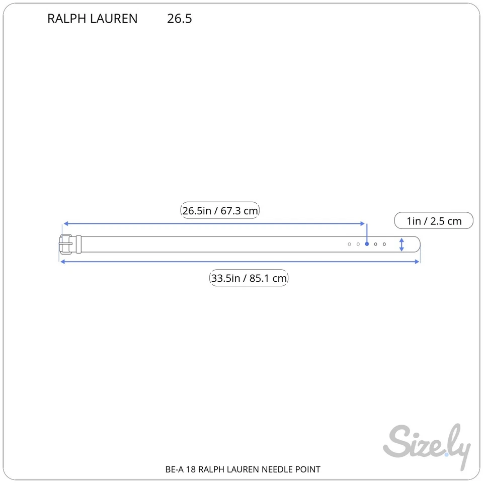 RALPH LAUREN 24-28 英寸针绣花卉声明皮带金扣 XS — 第 2/4 张图片