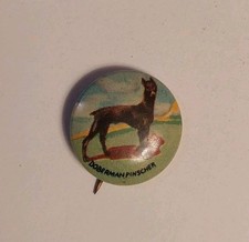 Vintage Doberman Pinscher Puppy Dog Pinback 1 Inch Brown & Green Button