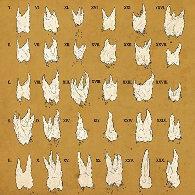 Yeesh - Confirmation Bias [CD]