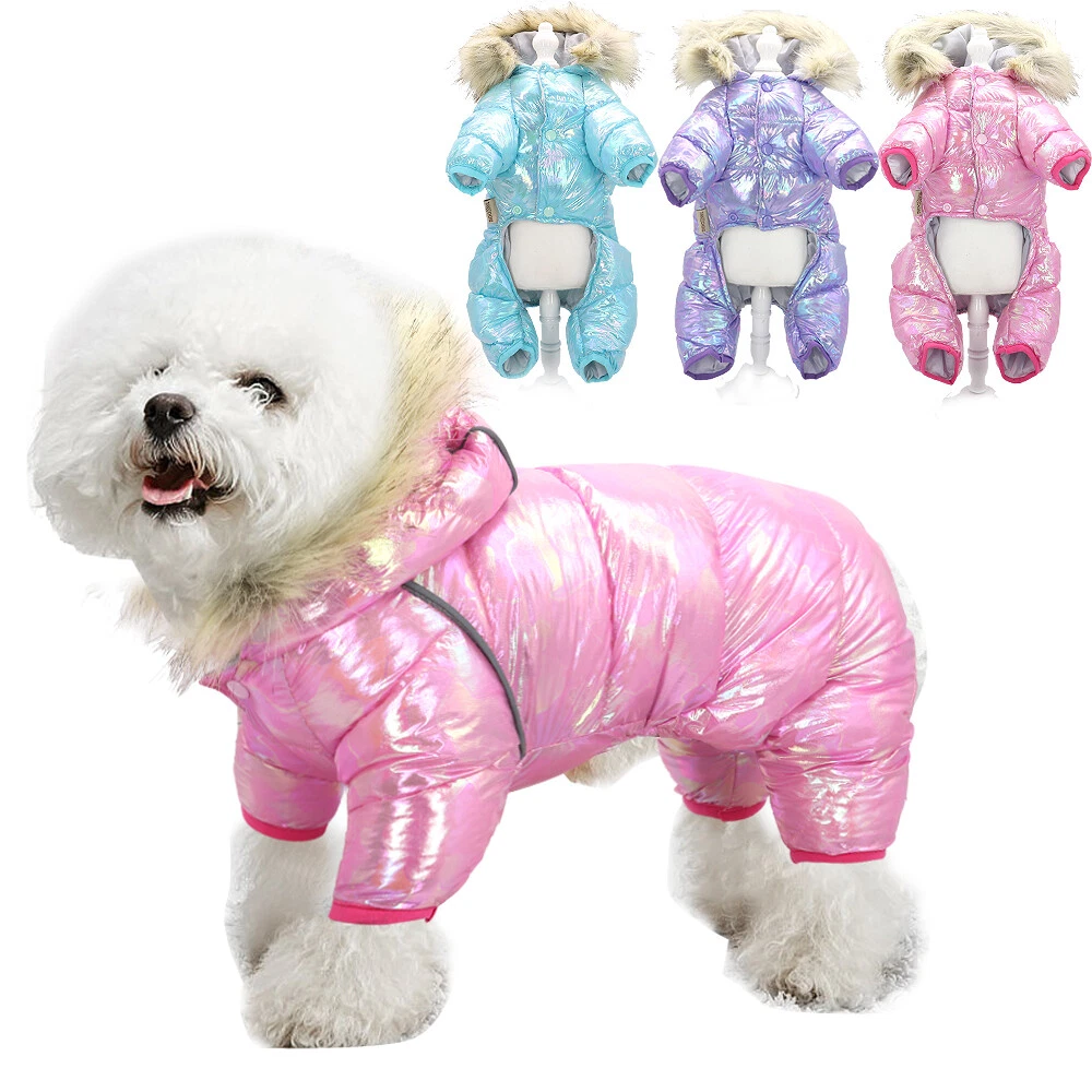 How To Keep A Small Dog Warm At Night