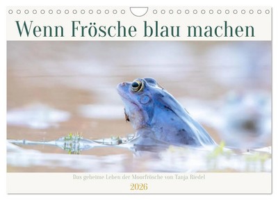 Tanja Riedel | Wenn Frösche blau machen - das geheime Leben der Moorfrösche...