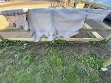 6ft 6’0” Horseware Rambo Protector Fly Rug Sheet Sweet Itch