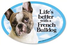 Prismatix French Bulldog Oval Dog Magnet for Cars 6" x 4", Multicolored