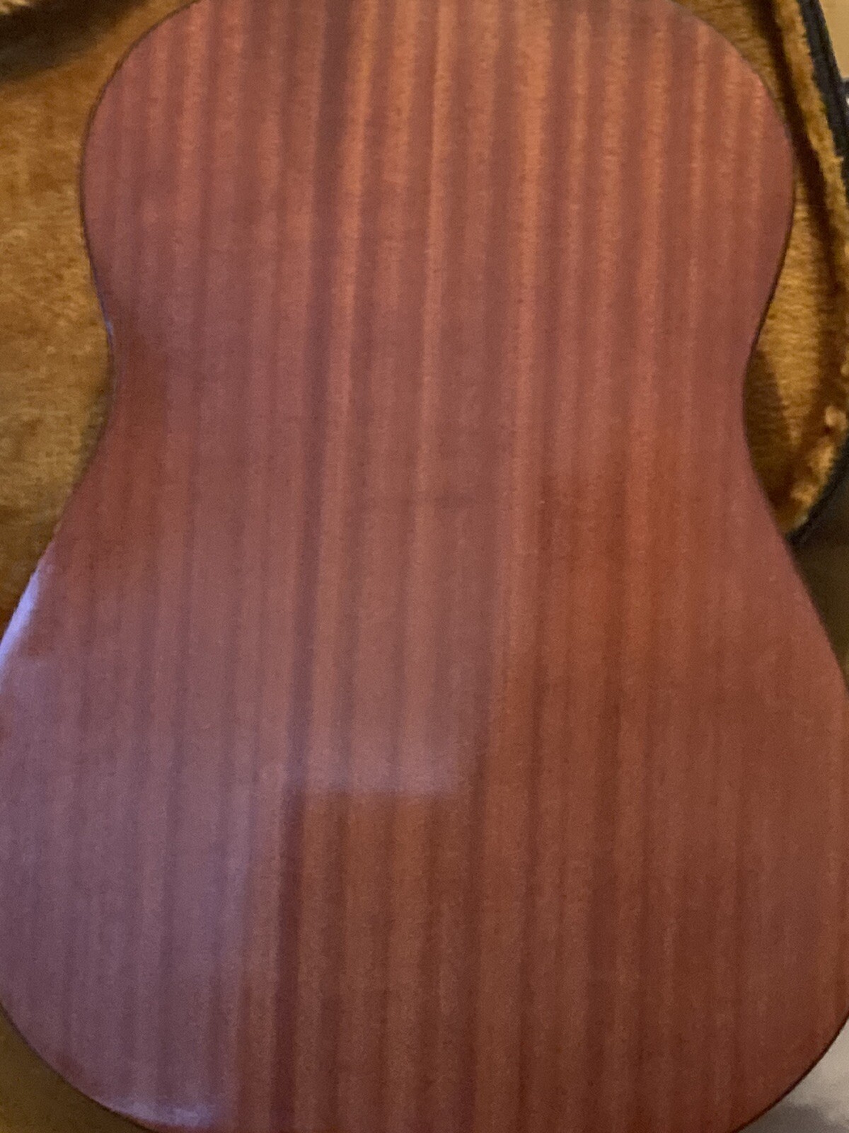 Fylde Orsino acoustic guitar eBay