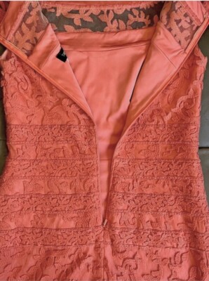 tadashi shoji orange dress Sz 18D Tadashi Shoji Orange Lace Sleeveless Knee Length A-Line. Poly Lined.
