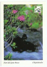PARCO GRAN BOSCO DI SALBERTRAND - Fiori del Gran Bosco - Il Rododendro - NV